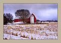 Picture Title - Late Afternoon Light