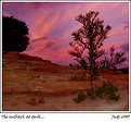 Picture Title - The outback at dusk...