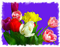 Picture Title - Tulips