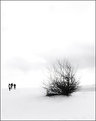 Picture Title - snow latitudes