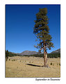 Picture Title - September in Yosemite