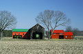 Picture Title - Farm