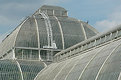 Picture Title - What a greenhouse!!