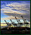 Container Cranes LA harbor