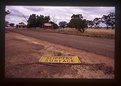 Picture Title - SLIPPERY SURFACE - Campbell's Forest