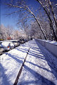 Picture Title - last snow in Ankara