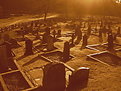 Picture Title - Graveyard