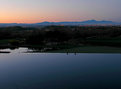 Picture Title - Morning Swim