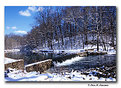 Picture Title - Pennypack Park (s2102)