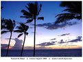 Picture Title - Sunset In Maui
