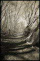 Picture Title - Spiral Path