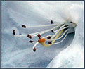 Picture Title - Ice Grotto