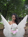 Picture Title - Angel Wings