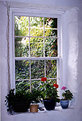 Picture Title - Yon Window