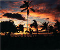 Picture Title - Hawaiian Dreams