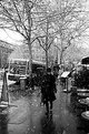 Picture Title - Snow  in  Paris