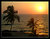 Goa Golden Sunset