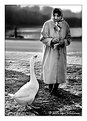 Picture Title - The Goose Lady