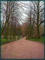 Picture Title - alexandra park 