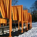 Picture Title - The Gates in Central Park