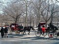 Picture Title - a stroll in the park