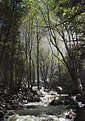 Picture Title - Bridal Veil Falls Creek