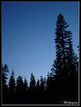 Picture Title - Venus Rising over Yosemite