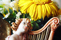 Picture Title - angel