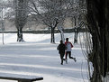 Picture Title - snowy run