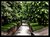 A bridge over calm water