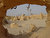 Stone dunes