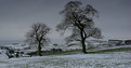 Picture Title - Snow in the Peaks (1)