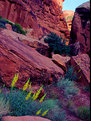 Picture Title - Late afternoon in the canyonlands