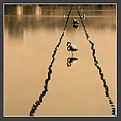 Picture Title - sentiero d'acqua - water's path