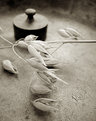 Picture Title - ....