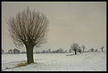 Picture Title - winter landscape v.2
