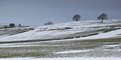 Picture Title - Snow in the Peaks (2) 