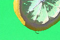 Picture Title - Lemon Drop