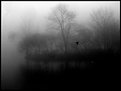 Picture Title - fog