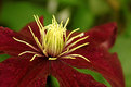 Picture Title - "Another beauty"