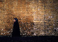 Picture Title - Woman  Walking  Alone