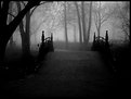 Picture Title - [ fog.2 ]