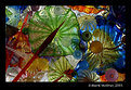 Picture Title - Chihuly I