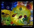 Picture Title - Chihuly II