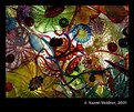 Picture Title - Chihuly III