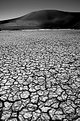 Picture Title - Namib 