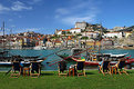 Picture Title - Ribeira Way Of Life