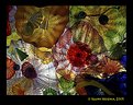 Picture Title - Chihuly IV