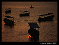 Picture Title - Lake Chapala III