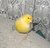 It's name is "selim"